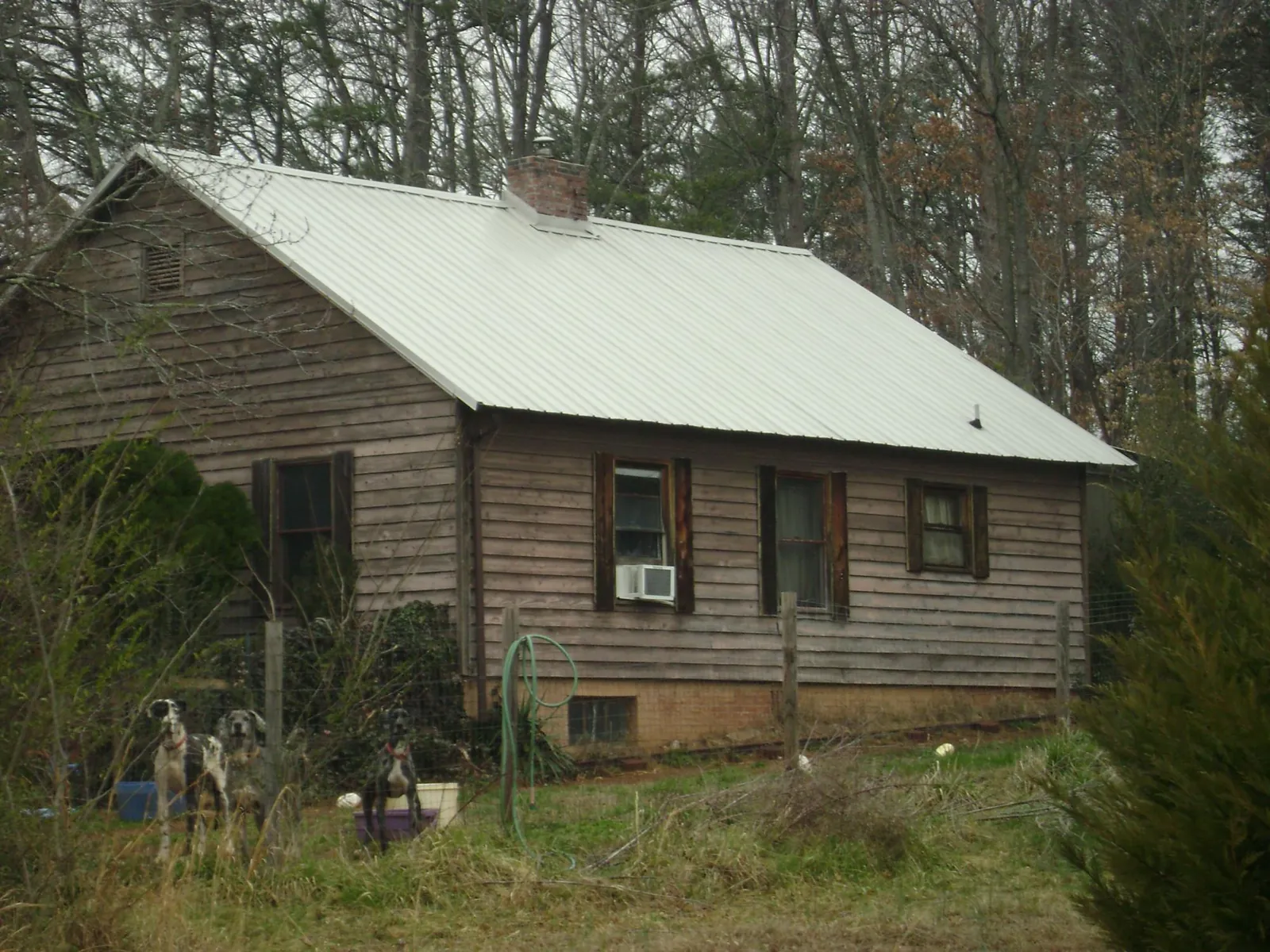 White metal roof on an old wood sided farmhouse, from a Asphalt Shingle Roof Repair job in Eckert